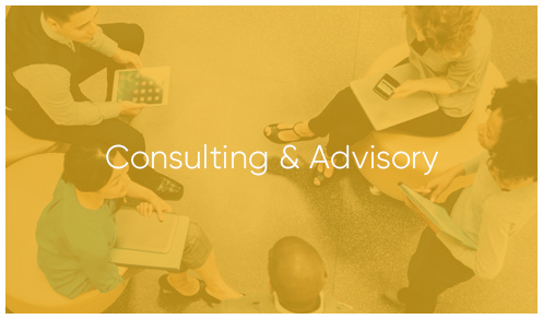 Consulting and Advisory by Tourvest Travel Services