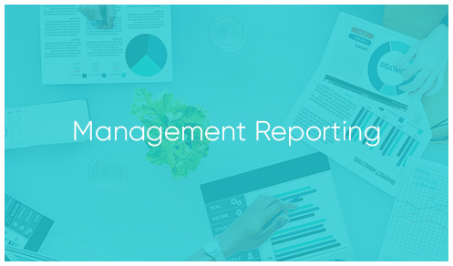 Management Reporting by Tourvest Travel Services